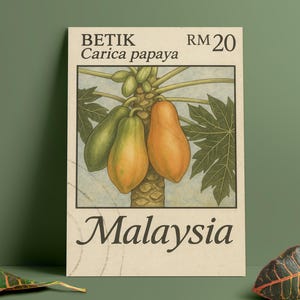 Vintage Malaysisches Briefmarkenposter – Papaya Frucht Kunstdruck – Tropische Botanische Illustration – Digitaler Wandkunst Download