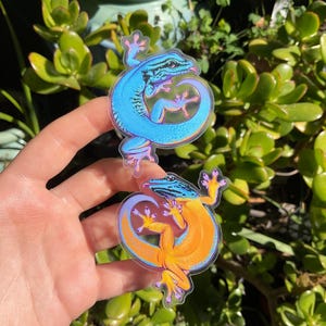 Puede incluir: Dos pegatinas de vinilo transparente con ilustraciones de geckos coloridos. La primera pegatina muestra un gecko azul con una cola morada enroscada alrededor de su cuerpo. La segunda pegatina muestra un gecko naranja con una cola morada enroscada alrededor de su cuerpo.