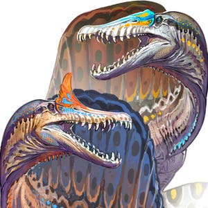 May include: Illustration of two Spinosaurus dinosaurs with open mouths, showcasing sharp teeth. The dinosaurs have a mix of colors, including blue, orange, and brown, with a distinctive sail on their backs. The background is a blend of brown and blue.