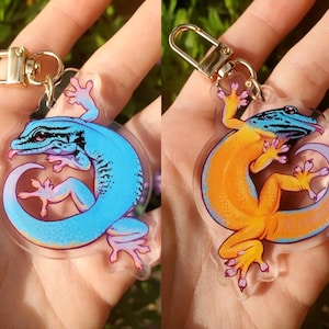 May include: Two acrylic keychains featuring a gecko lizard design. One keychain has a blue gecko with black stripes and a purple tail. The other keychain has an orange gecko with black stripes and a purple tail.