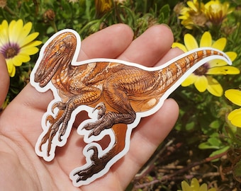 Deinonychus raptor featherless sticker