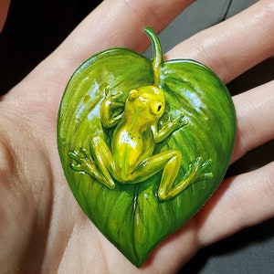 Puede incluir: Una rana verde con marcas amarillas está acurrucada dentro de una hoja verde en forma de corazón. La rana está mirando al espectador con las patas extendidas.
