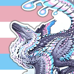 Könnte beinhalten: Ein Aufkleber mit einer stilisierten Illustration einer dinosaurierartigen Kreatur mit blauen, rosa und weißen Akzenten. Der Hintergrund zeigt die Transgender-Pride-Flagge mit horizontalen Streifen in Blau, Rosa und Weiß.