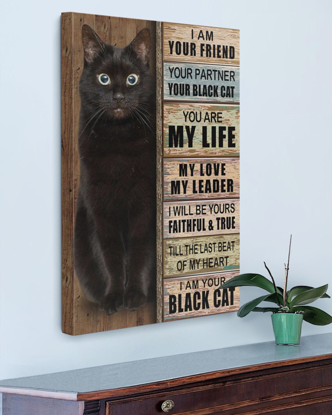 Black Cat Canvas Prints