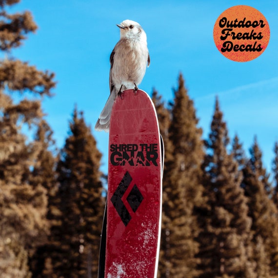 Shred the Gnar - Outdoor Vinyl Decal for Your Ski, Snowboard, Bike