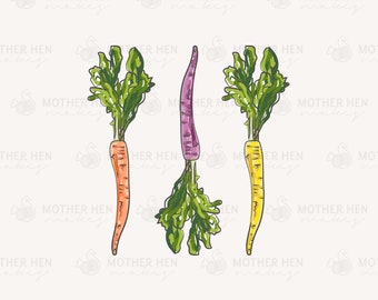 Carrot • 6×6” • Transparent PNG Sublimation / Transfer • Non Exclusive