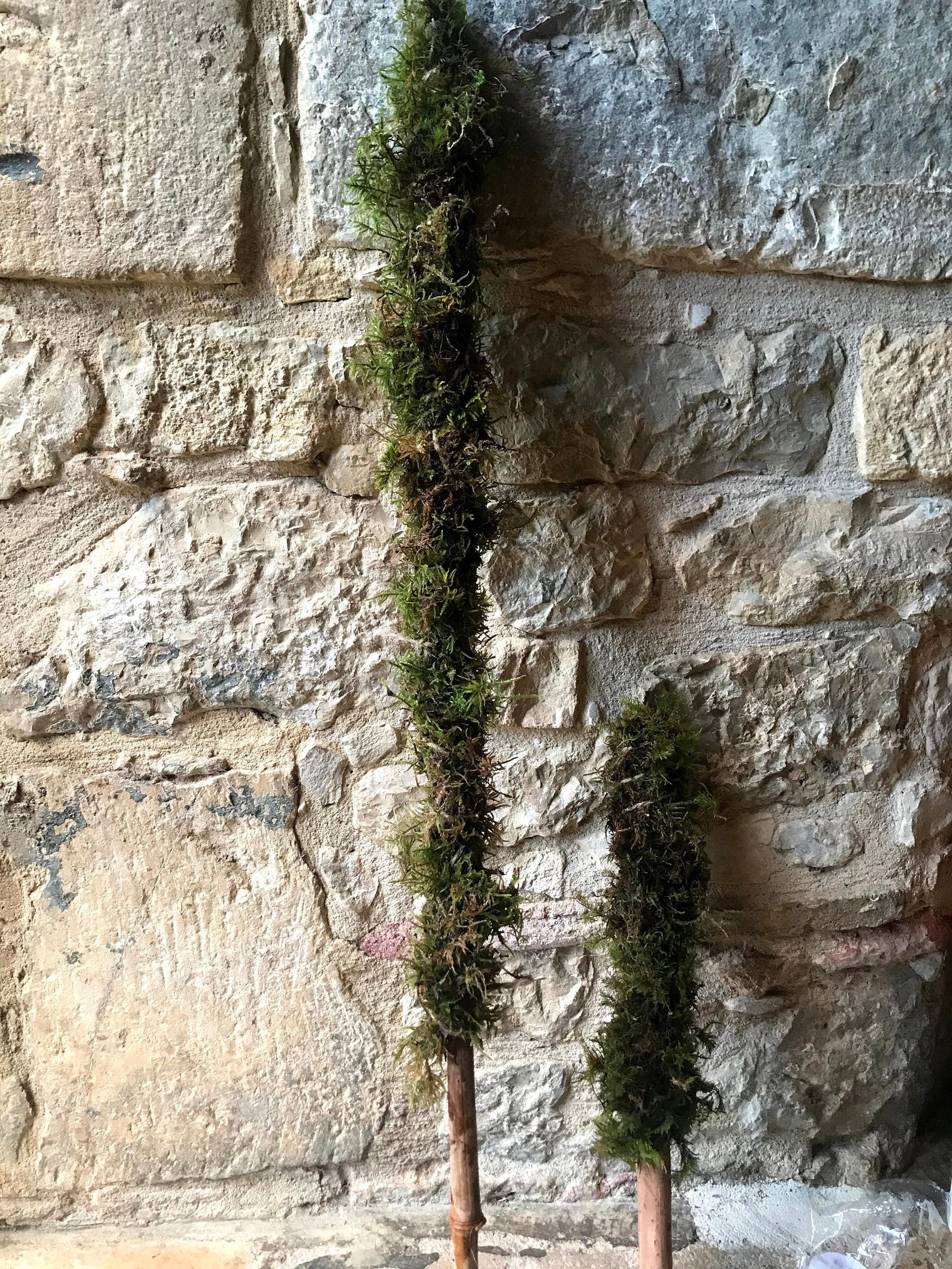 Moss Pole Moss Stand Handmade For Indoor Plant 20cm 30 Etsy