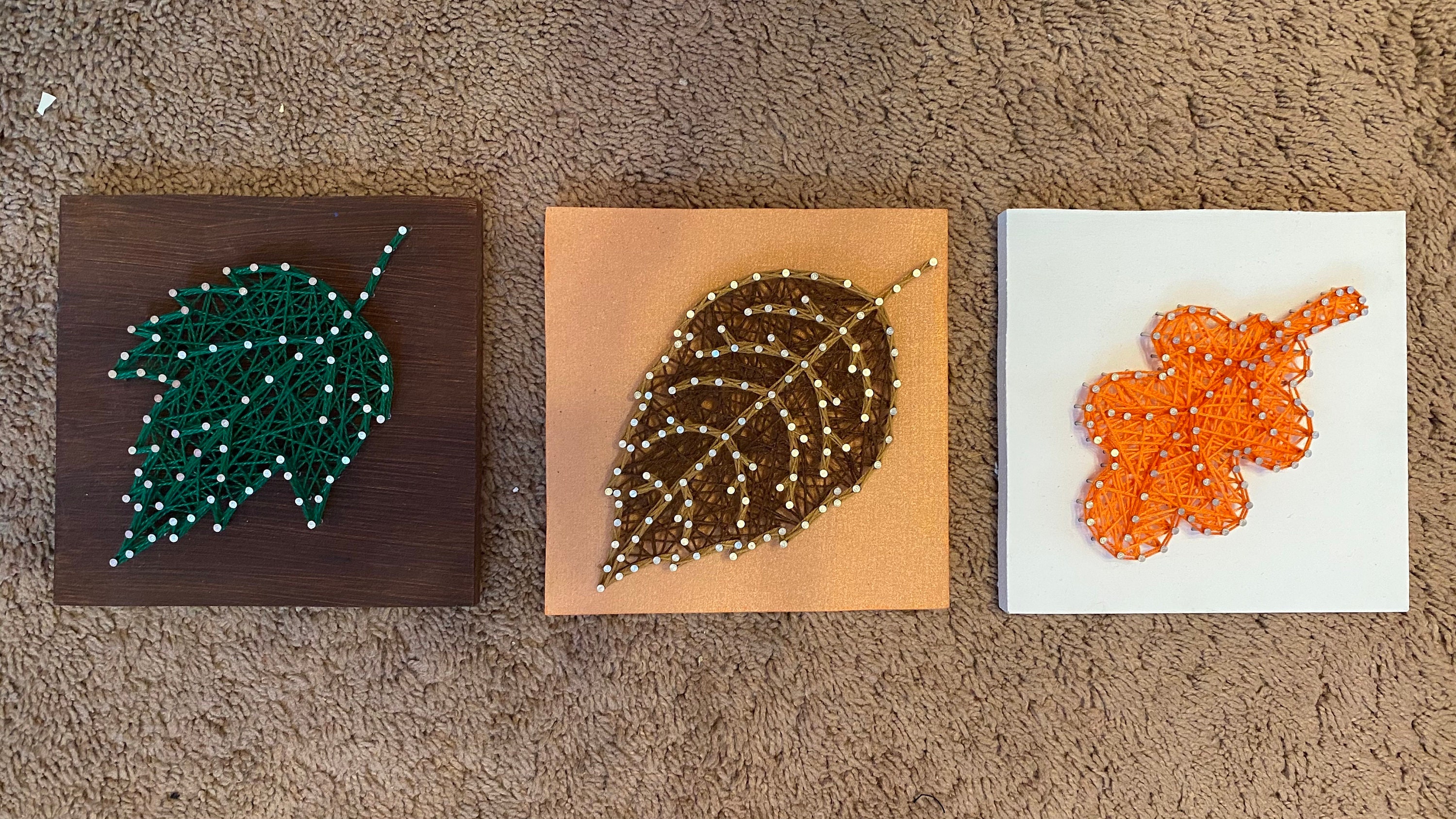 Leaves String Art Set Etsy
