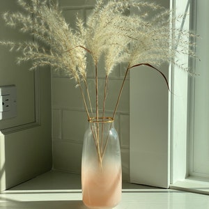 16&quot; Silver Feather Grass