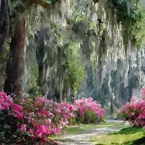 May include: A scenic landscape painting of a garden path lined with vibrant pink azalea bushes. Overhead, trees are draped with Spanish moss, creating a soft, diffused light. The path leads into the distance, inviting the viewer to explore the tranquil scene.