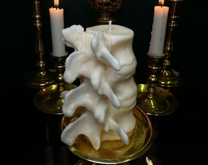 Anatomically Correct Spine Candle: Handmade Gothic Home Decor