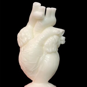 Anatomical Heart Candle, Creepy Valentine's Day Gift, Gift for med students, Cardiologist, Oddities candle, oddity gift, gothic candle White