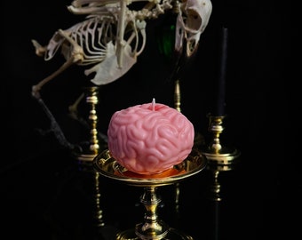 Anatomical Brain Candle, Creepy gifts, Halloween, Med student Gift, Oddity, Oddities gift