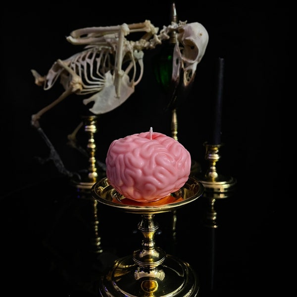 Anatomical Brain Candle, Creepy gifts, Halloween, Med student Gift, Oddity, Oddities gift