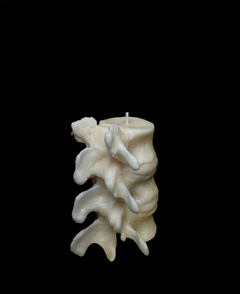 Spine Candle Anatomically Correct Candle Unique Anatomy Etsy