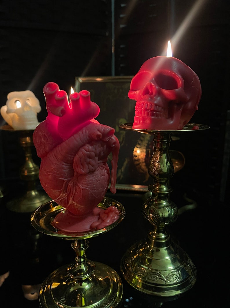 Anatomical Heart Candle, Creepy Valentine's Day Gift, Gift for med students, Cardiologist, Oddities candle, oddity gift, gothic candle image 4