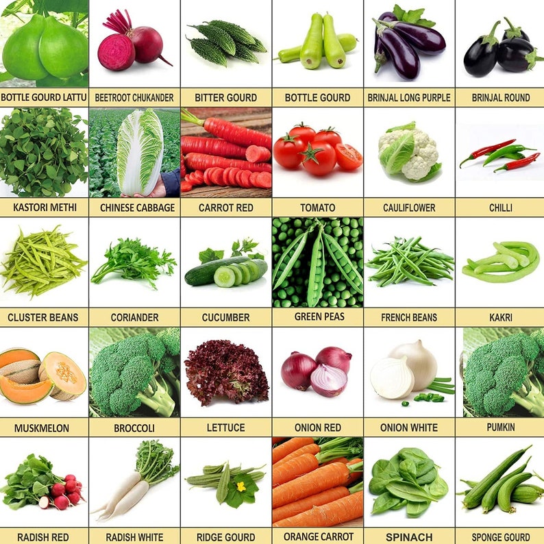 Mix Indian Vegetable Seeds Bank for Home Garden 30 Variety of Vegetable