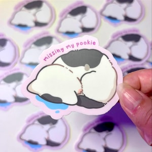 Pegatina "Mi Pookie faltante" / Pegatina mate resistente al agua / Lindo gato / Pegatinas para portátiles, diarios y cuadernos
