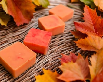 Autumn Leaves Wax Melts: Earthy Fall Tree Scent