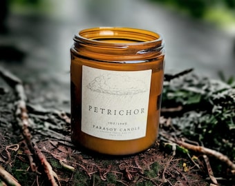Petrichor candle, after the rain, clean fragrance, earthy scent, for nature lover, thunderstorm candle, scented c andle