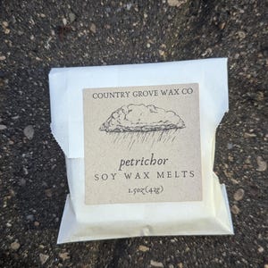 Petrichor Wax Melts: Earthy Fall Thunderstorm Scent