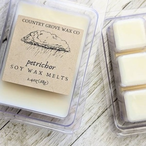 Petrichor, Earthy Wax Melts, Petrichor Scent, Soy Wax Melts For Warmer, After The Rain, Petrichor Wax Melts, Spring Thunderstorm