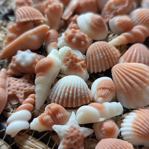 May include: A selection of seashell-shaped soaps in peach and white hues. The soaps feature intricate designs, resembling various types of shells. A starfish-shaped soap is also present, adding to the coastal theme.