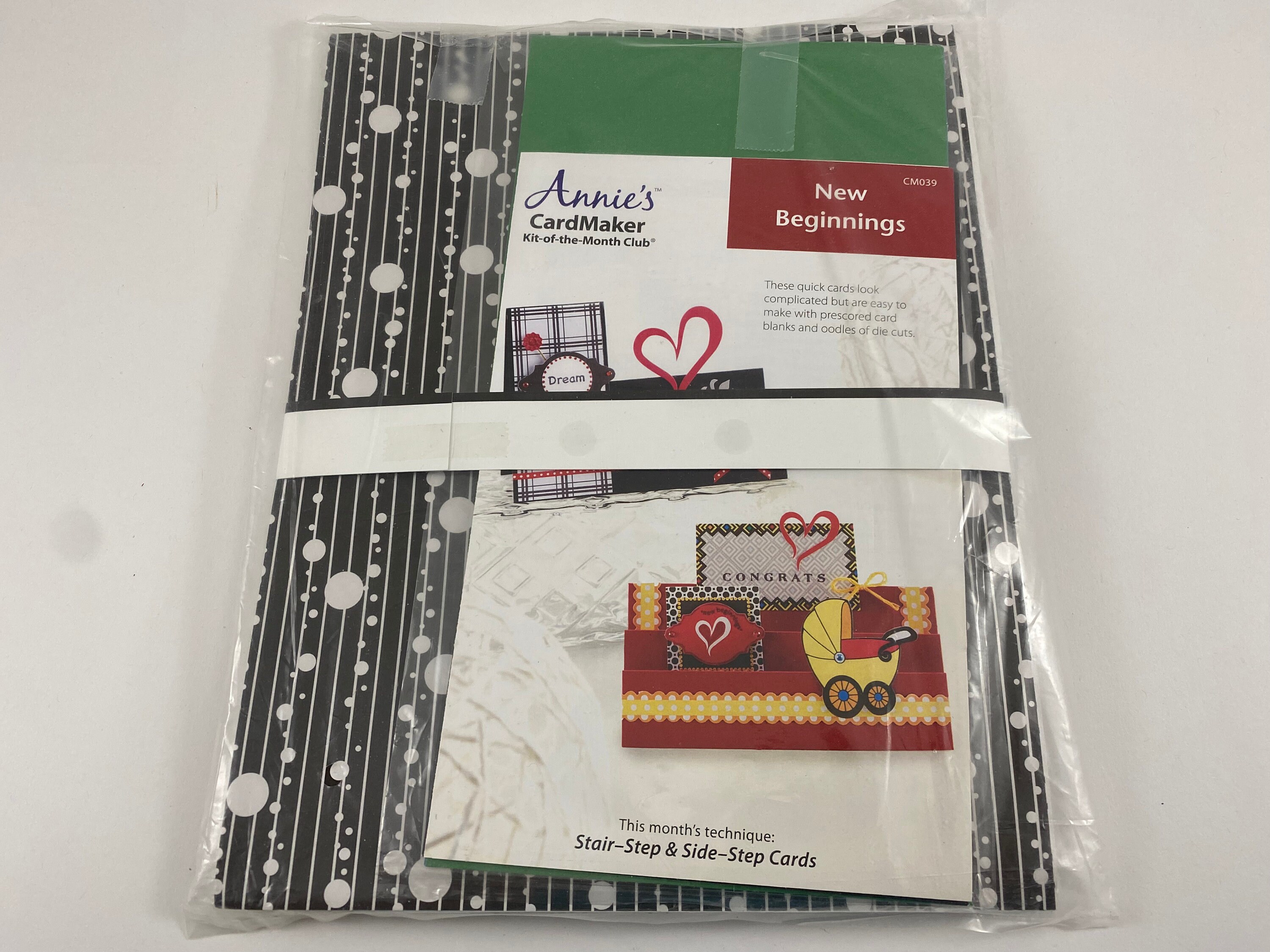 Annie's Cardmaker Kit of the Month Club Kits Simple - Etsy