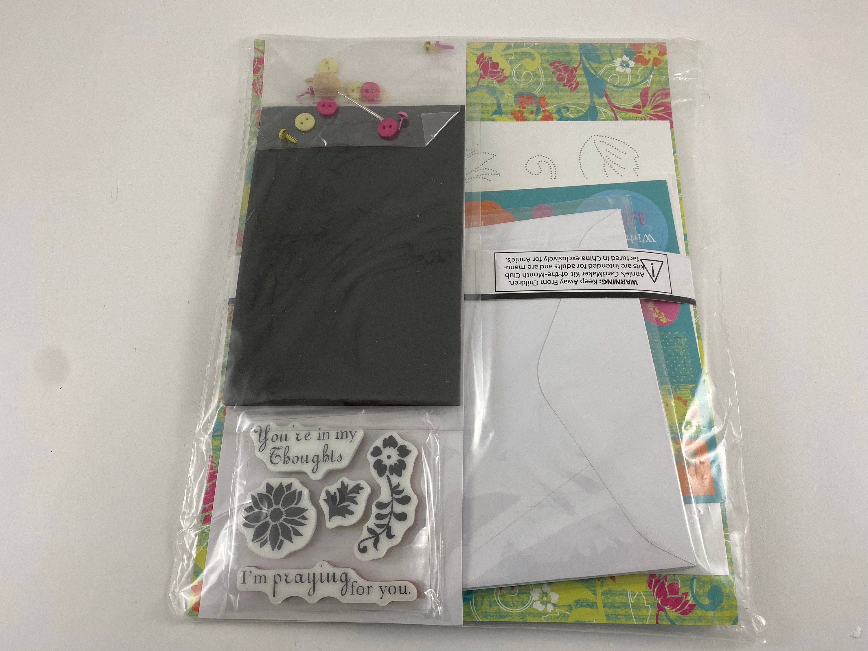 Annie's Cardmaker Kit of the Month Club Kits Simple - Etsy