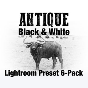 Può includere: Foto in bianco e nero di un bufalo in un campo. L'immagine è intitolata "Antique Black & White Lightroom Preset 6-Pack".