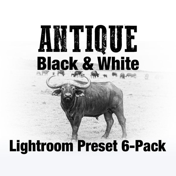 6 ANTIQUE Lightroom Presets, Vintage, Black & White, Old Wash Presets for a no color antiqued classic finish