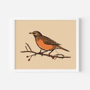 American Robin Art Print - Digital Download | 5x7, 8x10