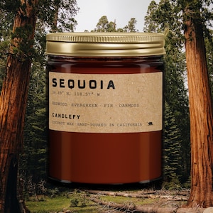 Sequoia California Candle • Redwood, Cinnamon & Vanilla • 8oz