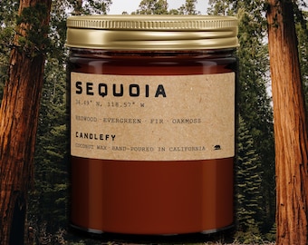 Sequoia California Candle • Redwood, Cinnamon & Vanilla • 8oz