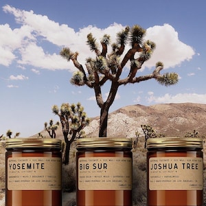 California Park Bundle: Big Sur, Yosemite & Joshua Tree (3-set Natural Wax Candles)