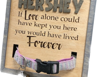 Pet Memorial Sign, Personalized Pet Dog Collar Remembrance Frame, Dog Collar Memorial, Pet Loss Gift, Pet Keepsake, Rainbow Bridge