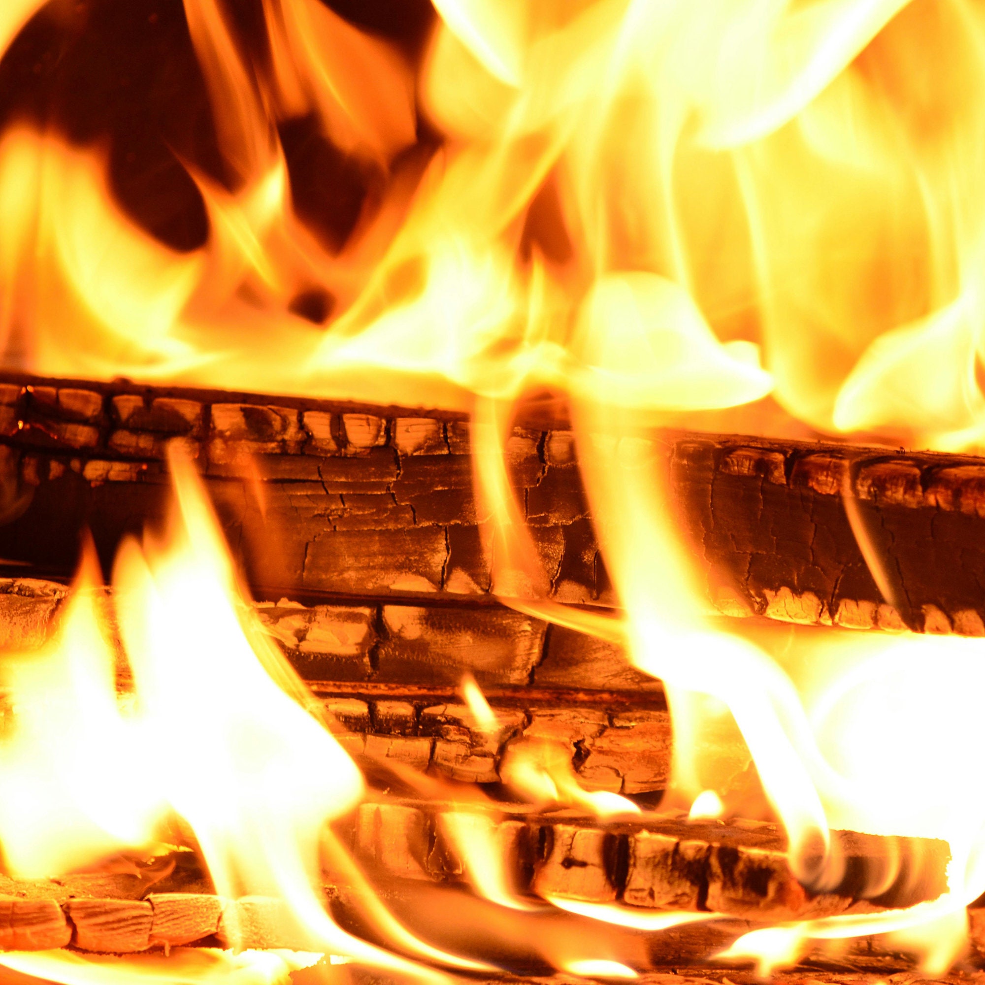 Ash Powder Fertilizer, Gray Ash Dust, Hardwood Ashes, Ashes From Fireplace, Eco Friendly