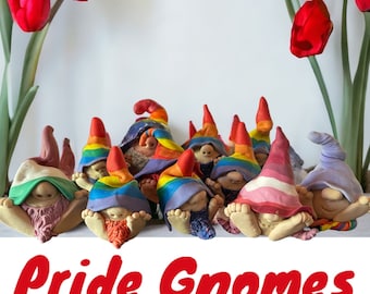 Custom Pride Gnome