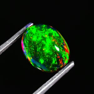 May include: A vibrant, oval-shaped opal gemstone, held by silver tweezers against a black background. The opal displays a striking play of color, with dominant green hues and flashes of red, orange, and blue. The gemstone's surface is smooth and polished.