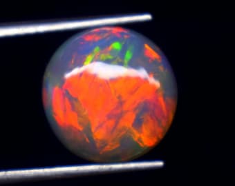 May include: A round, translucent opal gemstone featuring a vibrant play-of-color with dominant flashes of bright orange, red, and green against a dark, semi-transparent body. The stone is held by a pair of silver-toned metal tweezers.