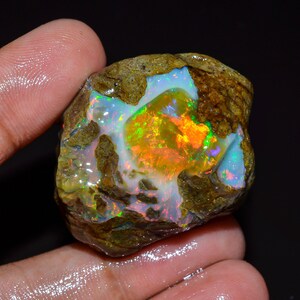 May include: A raw opal gemstone, displaying a kaleidoscope of colours. The opal exhibits flashes of orange, green, and blue within a brown rock matrix. The gemstone is held in a hand, highlighting its natural beauty.