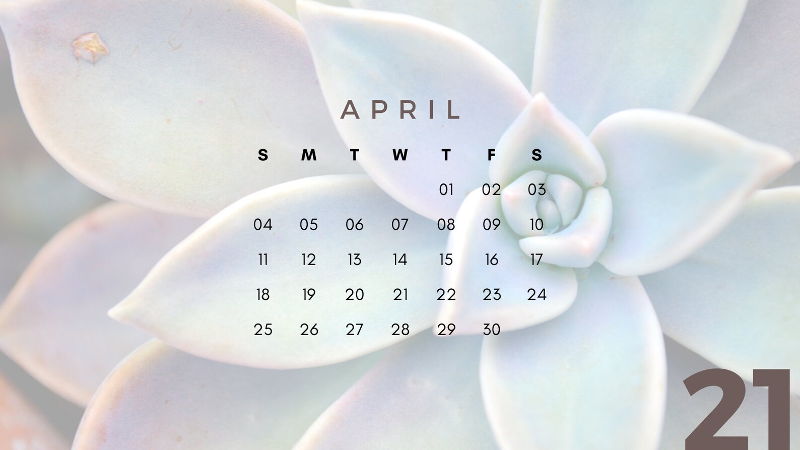 2021 Succulent Calendar Digital Download | Etsy