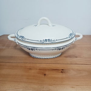 Soup-tureen / vegetable iron earth Salins Saussure, old, vintage