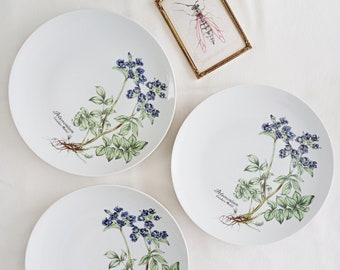 Set of 3 Winterling Bavaria herbarium flat plates, vintage