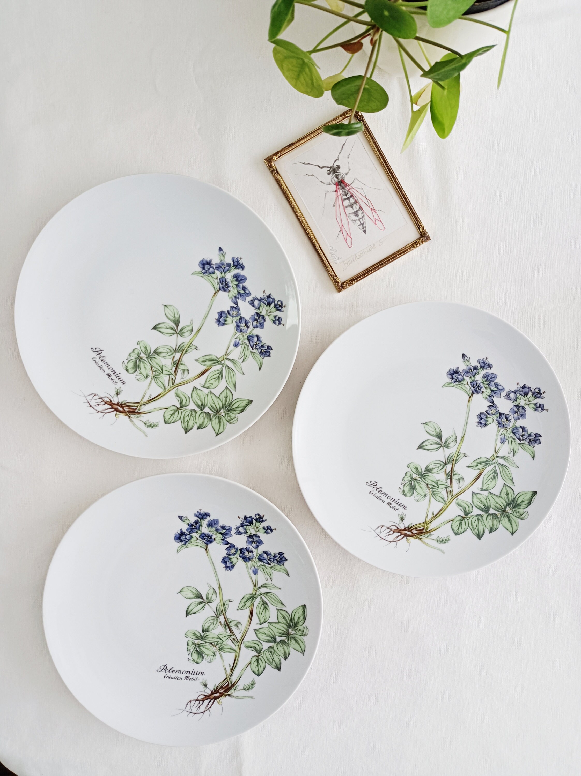 LIMOGES. BERNARDAUD. 6 Assiettes Plates Porcelaine Décor Fleurs Modèle