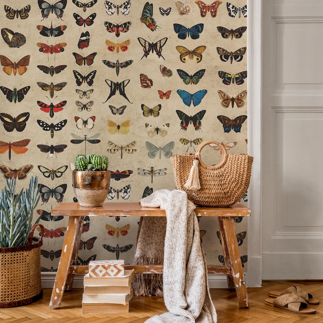 Vintage Butterfly Specimen Collection Wallpaper on Parchment - Peel and ...