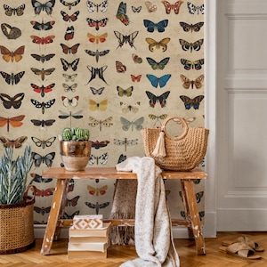 Vintage butterfly peel and stick wallpaper, wallpaper, small animal wallpaper, botanical animal wallpaper, removable wallpaper - E103 A