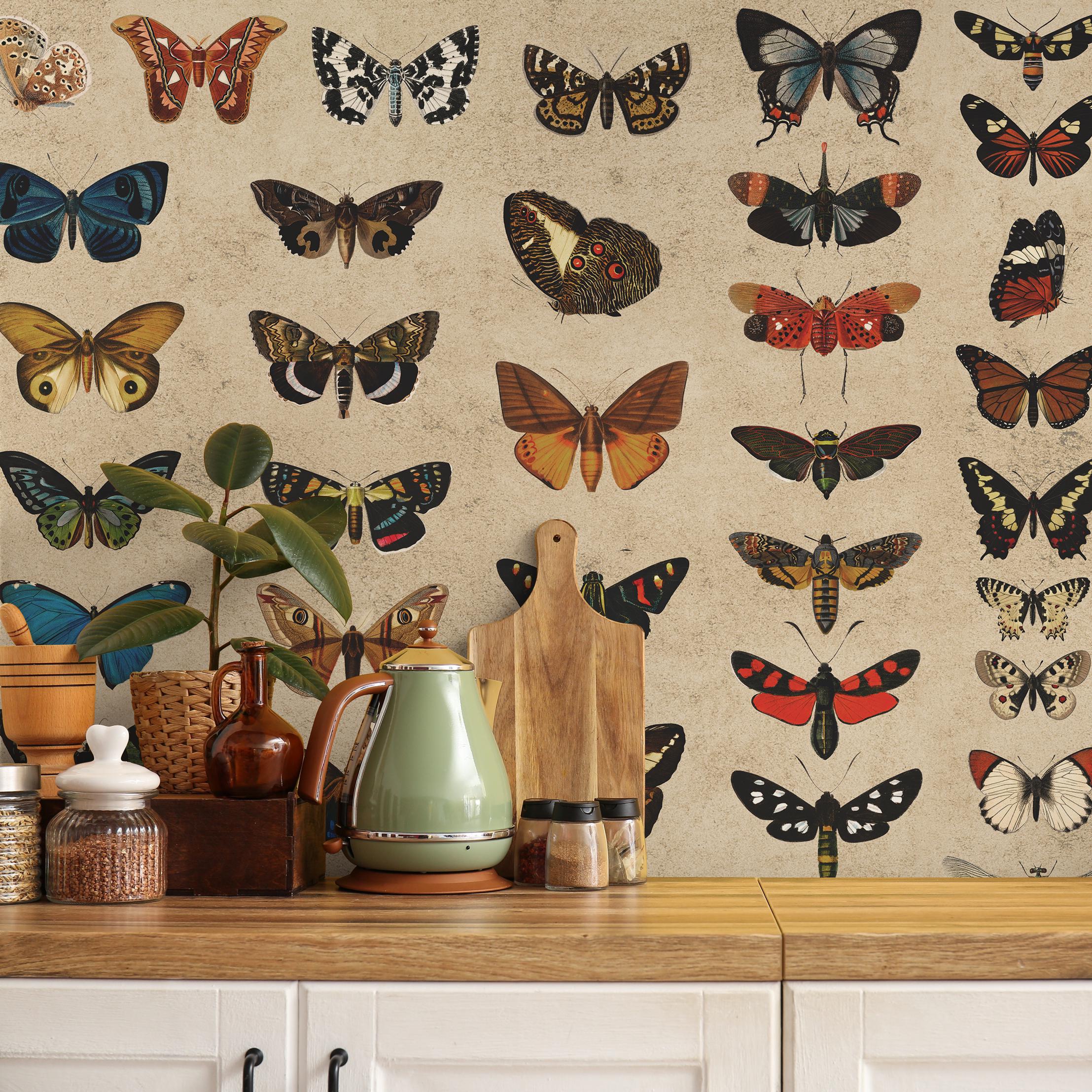 Vintage Butterfly Specimen Collection Wallpaper on Parchment - Peel and ...