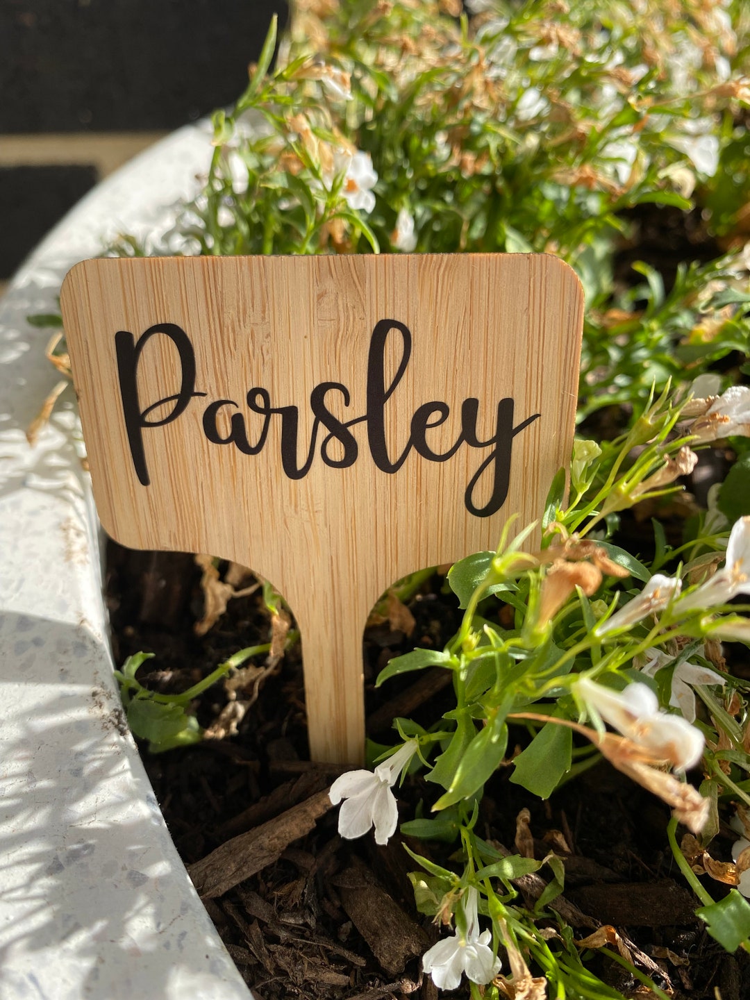 40 Holzetiketten Für Pflanzen – T-förmig, Mit Marker, Für Garten & Küche