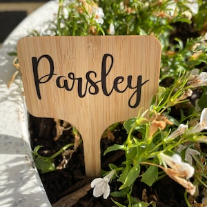 May include: A wooden plant marker with the word "Parsley" written in black cursive lettering. The marker is inserted into the ground next to a green plant with white flowers.
